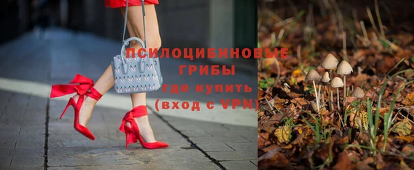 гидра Алексеевка