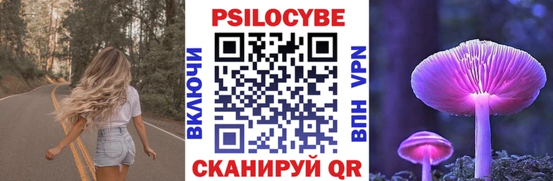 Галлюциногенные грибы Cubensis Пошехонье