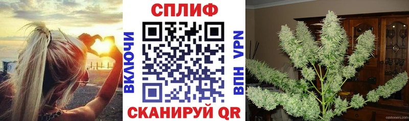 Каннабис план  купить наркоту  omg зеркало  Пошехонье 